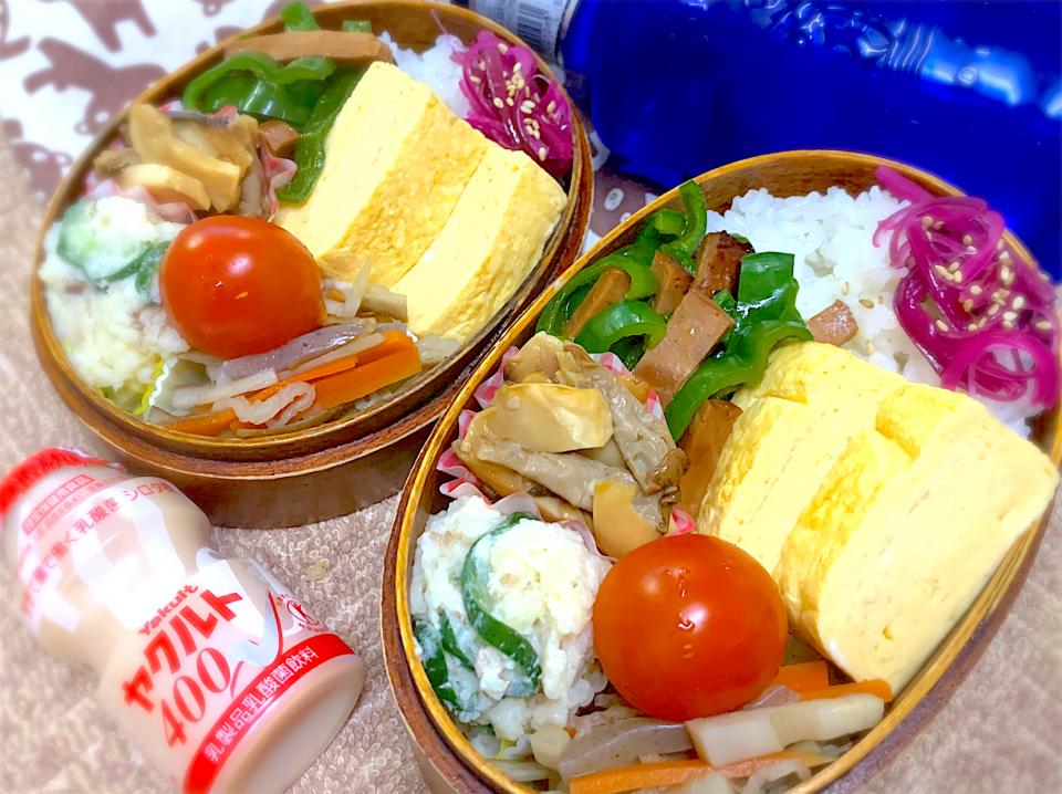 今日の夫婦弁⁽⁽ ◟(灬 ˊωˋ 灬)◞ ⁾⁾💕