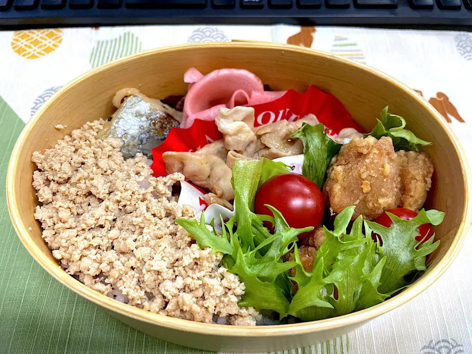 唐揚げ、豚肉炒めと塩サバの鶏そぼろ🍱|なお🅿️さん