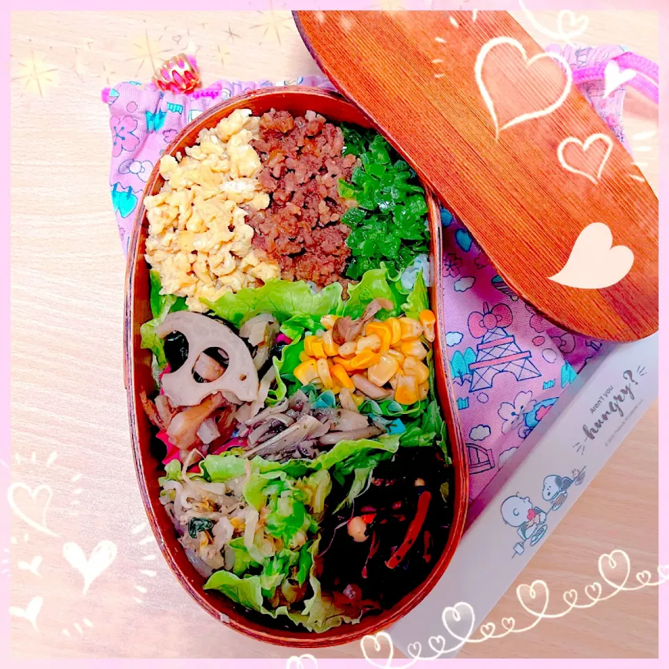 １／１２ ｔｈｒ ３色ごはん弁当🍴|rinaronarさん