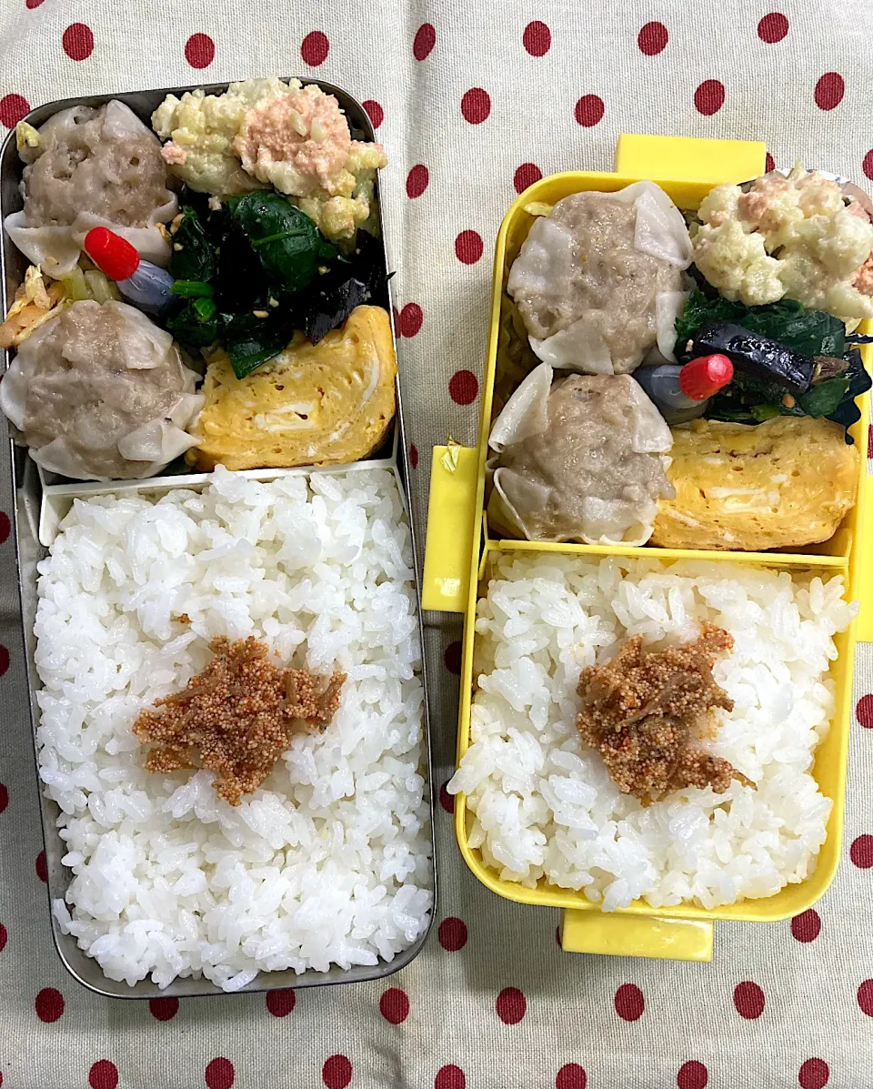 Snapdishの料理写真:1月12日 普通のお弁当🍱|sakuramochiさん