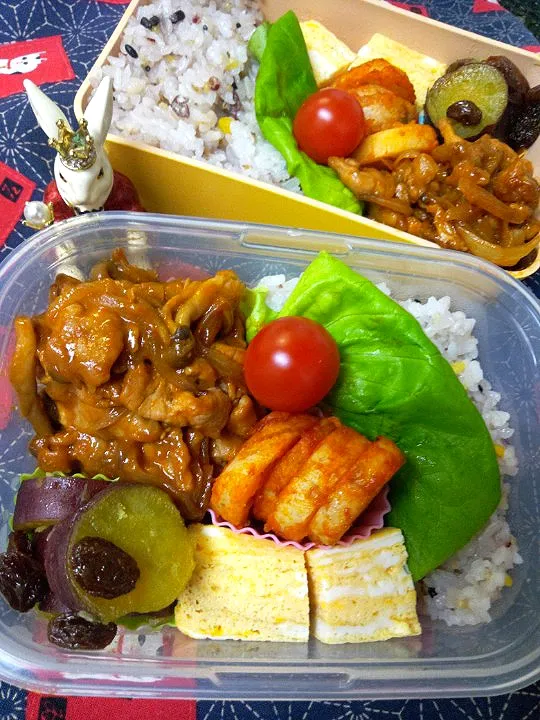 Snapdishの料理写真:'23．1/13
本日のお弁当🍱|たえさん