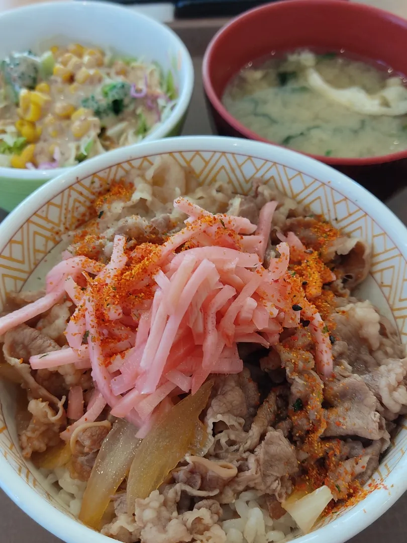 すき家の牛丼ランチセット＋α|Rピージャーさん