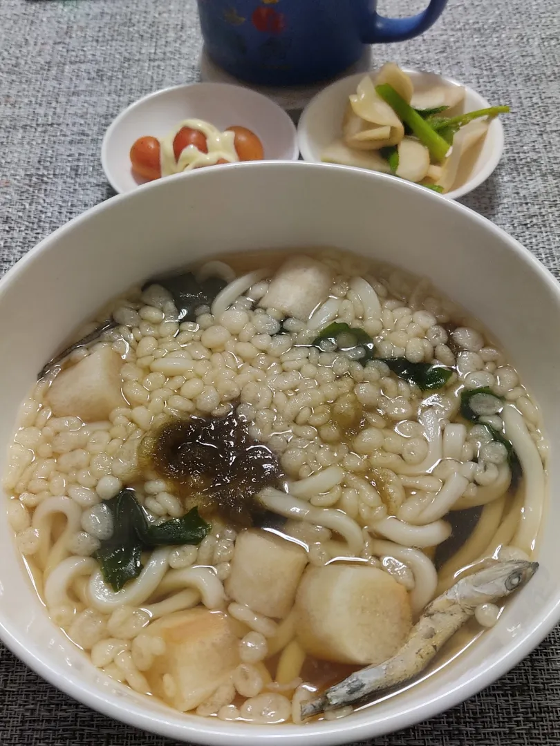 暖かい朝に「たぬきうどん」|Rピージャーさん