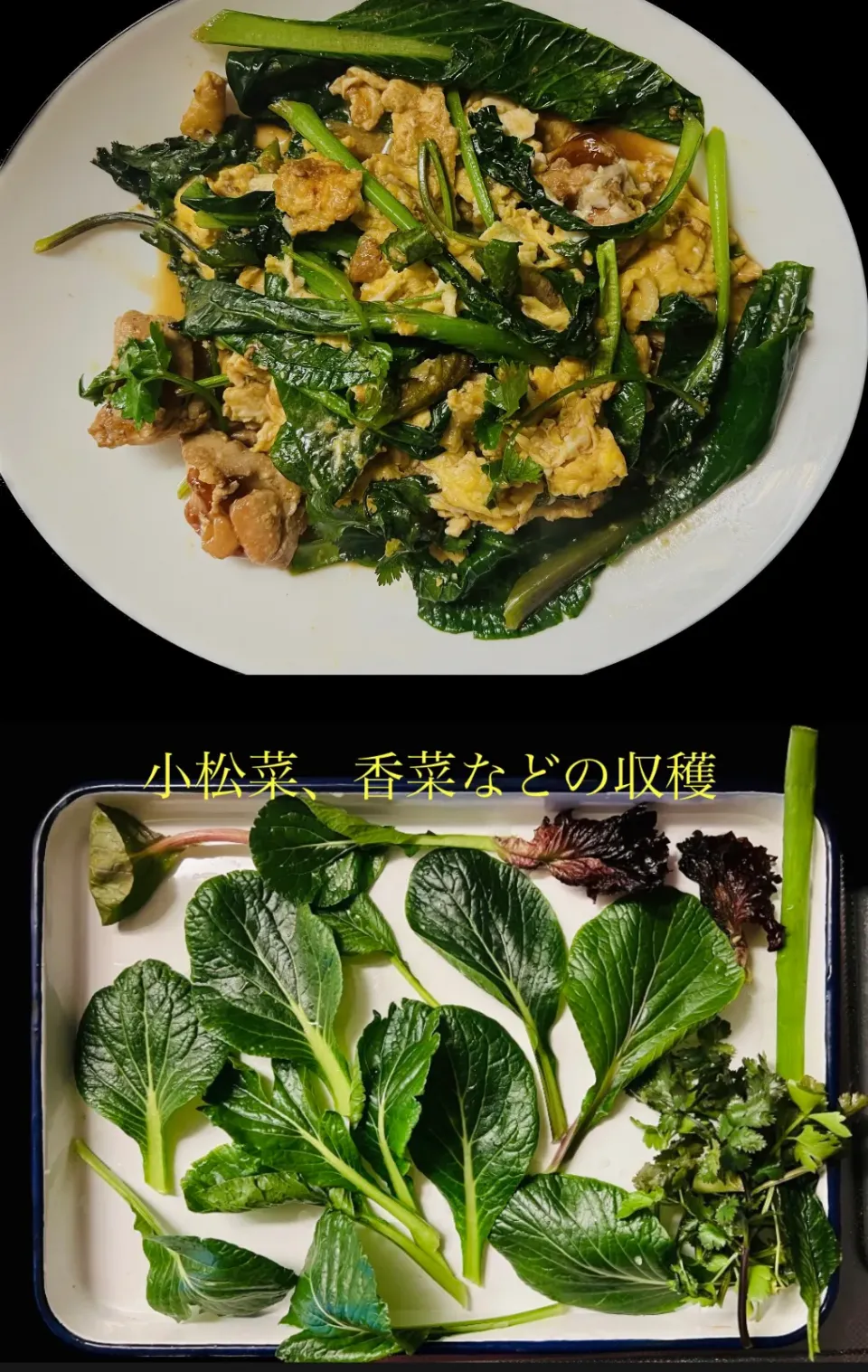 Snapdishの料理写真:収穫した野菜とチキン玉子炒め|sjさん