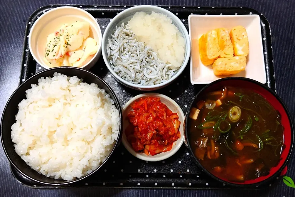 今日の昼ご飯（高知県産コシヒカリに玉子焼き、しらすおろし、ポテトサラダ、赤だしのなめこ汁、キムチ）|Mars＠釜飯作り研究中さん