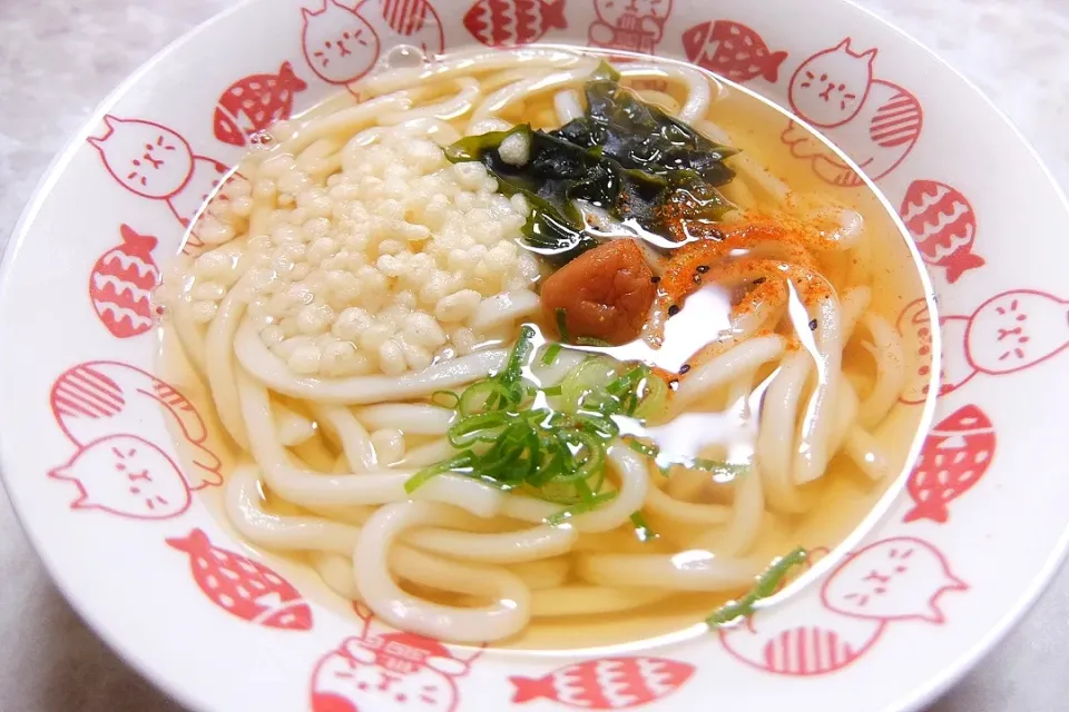 今日のお昼は、梅干しわかめうどん😀
酸味がさっぱりしてて美味しい💕|深夜特急fさん