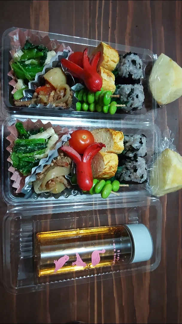 タコさんウインナー弁当|こいけさんさん