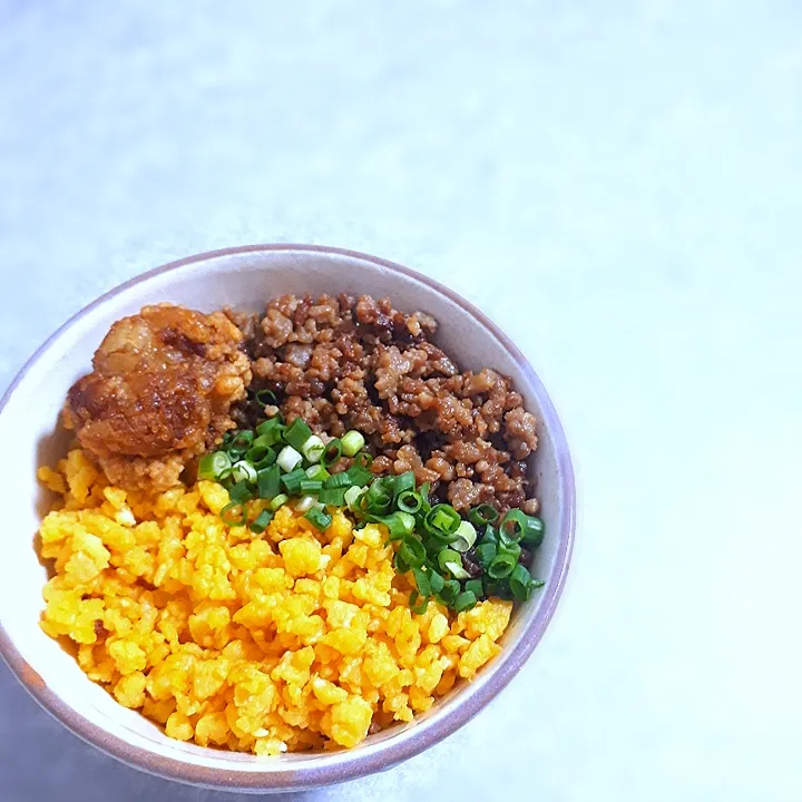 ３色丼|奏さん