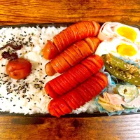 Snapdishの料理写真:ウインナー強め弁当|k.mさん