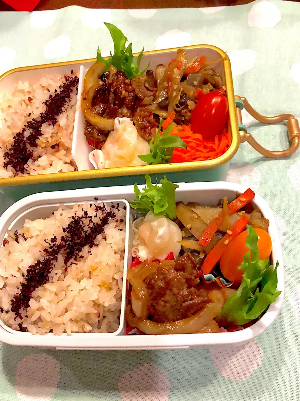 2023.1.16  ＊今日のお弁当＊きんぴらごぼう＊|rinrin*mama*さん