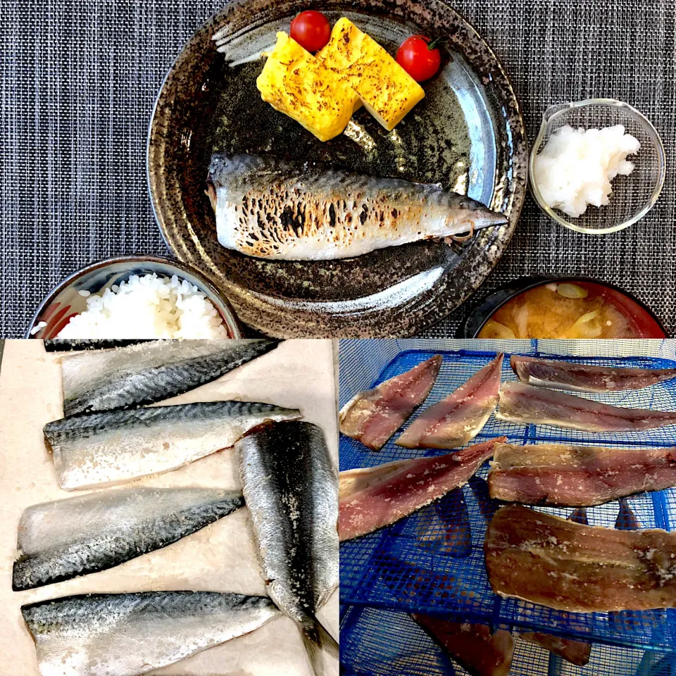 旦那が釣ってきた鯖で一夜干し🐟　今日は塩サバ定食からスタート😋　これって自給自足ってやつだ😂|BUBUさん