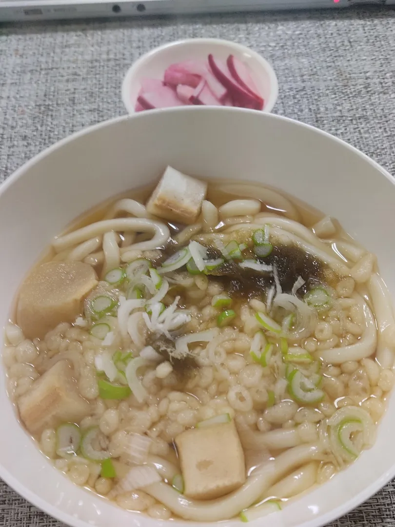 今日も朝からたぬきうどん|Rピージャーさん