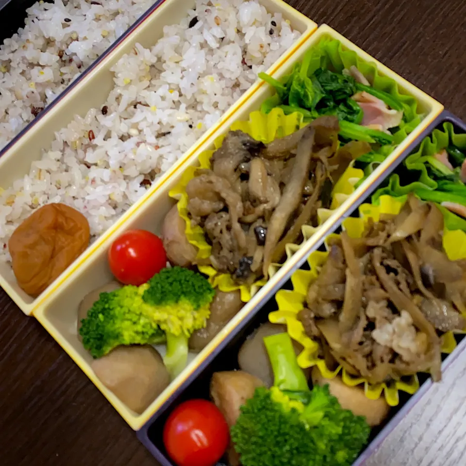 お弁当|minaさん