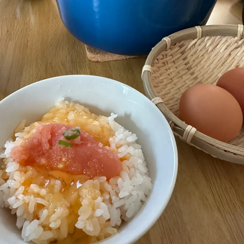 卵かけご飯辛子明太子のせ|いくさん