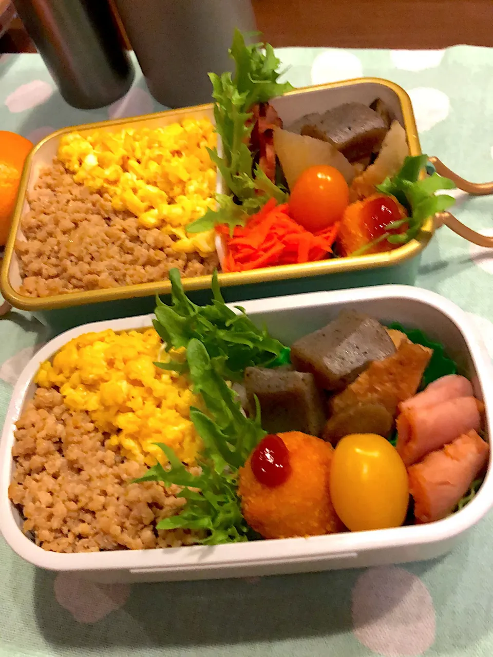 2023.1.19  ＊今日のお弁当＊鶏そぼろ丼＆厚揚げの煮物＊|rinrin*mama*さん