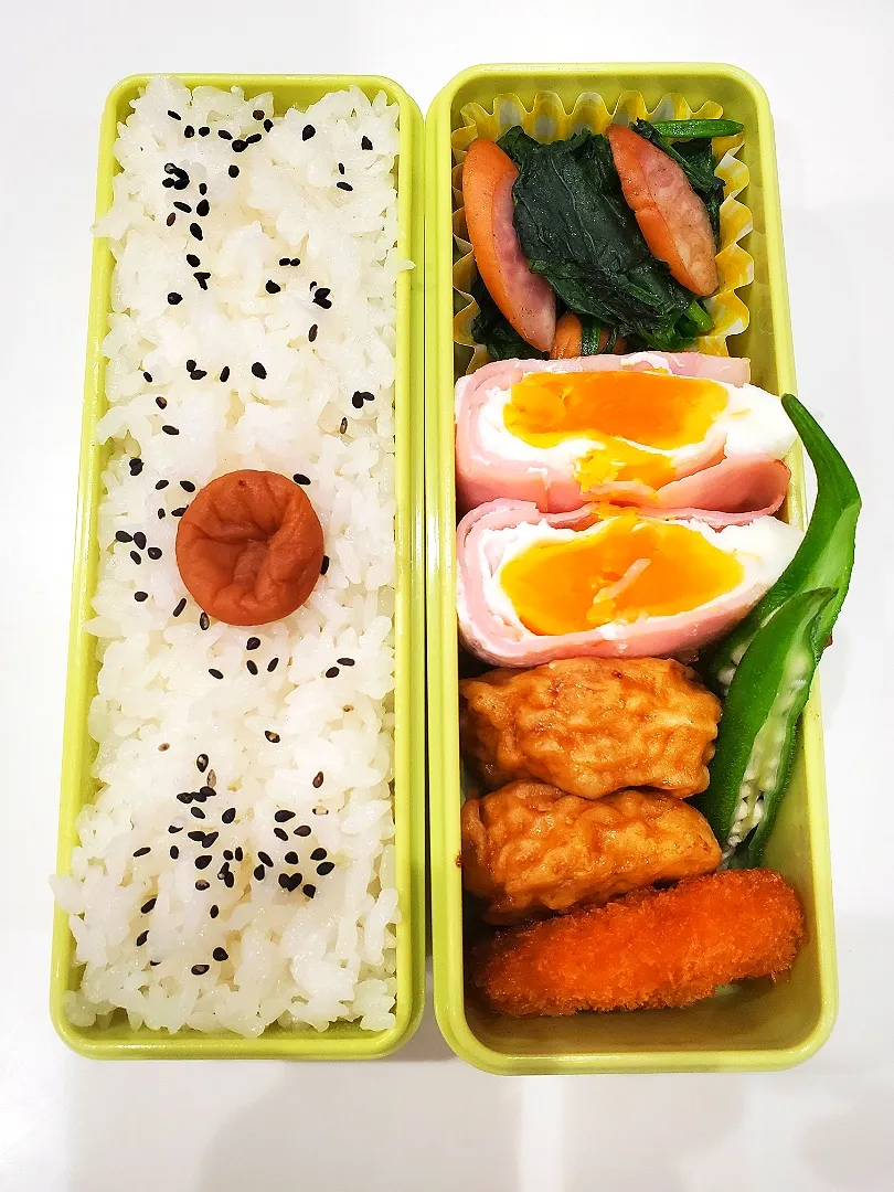 今日のお弁当🍱|さーりさん