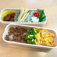 Snapdishの料理写真:中学生弁当　そぼろご飯|りんごさん