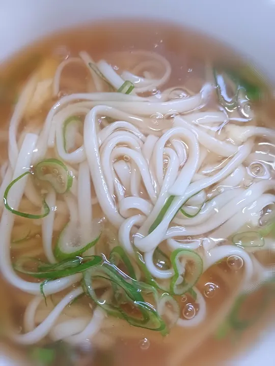 狸の宴シリーズ
ある日の腹拵え

京風 餡掛けうどん
(擦り生姜入り/狸特製出汁使用)|タヌキさん