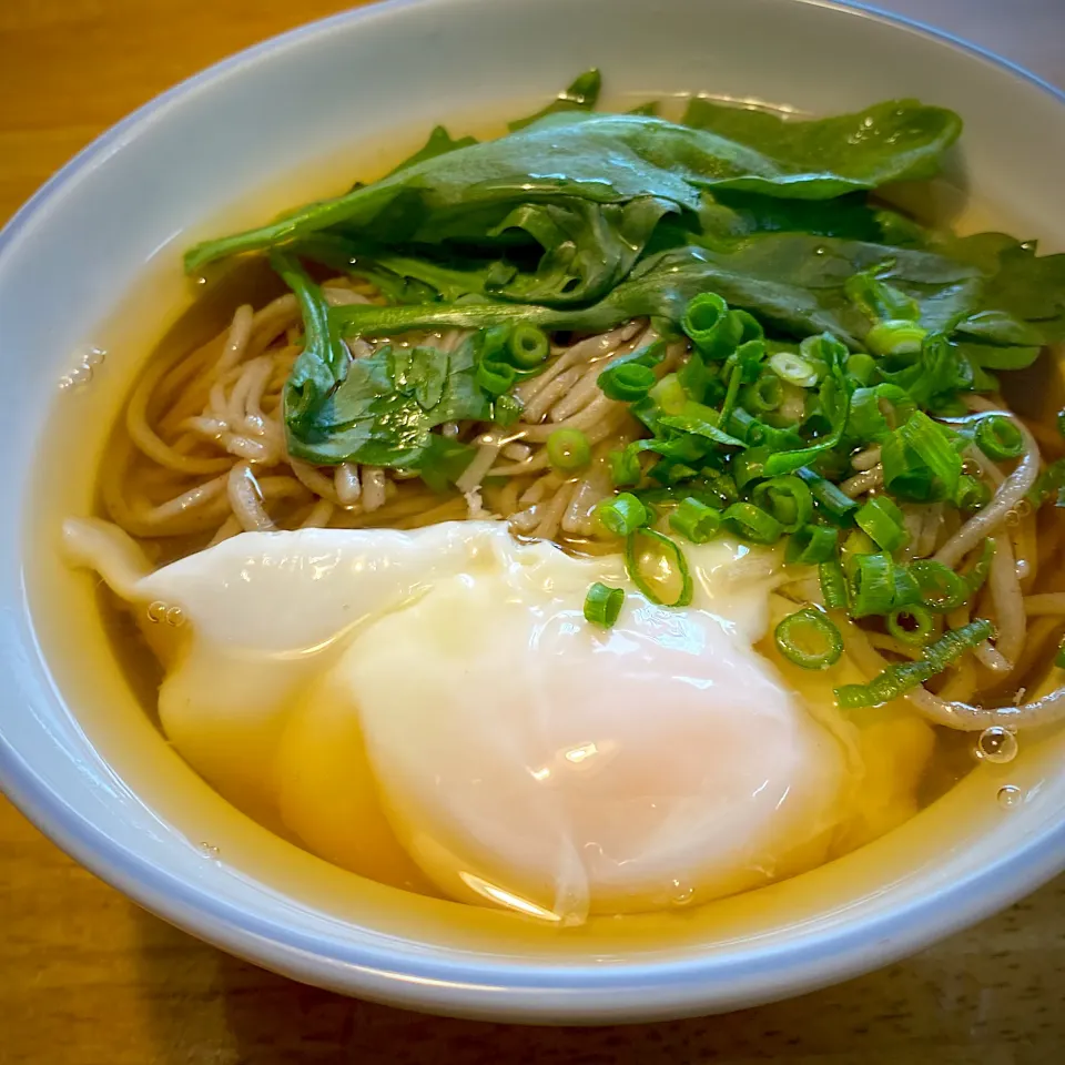 Snapdishの料理写真:手打ちそばでかけ蕎麦|もえさん