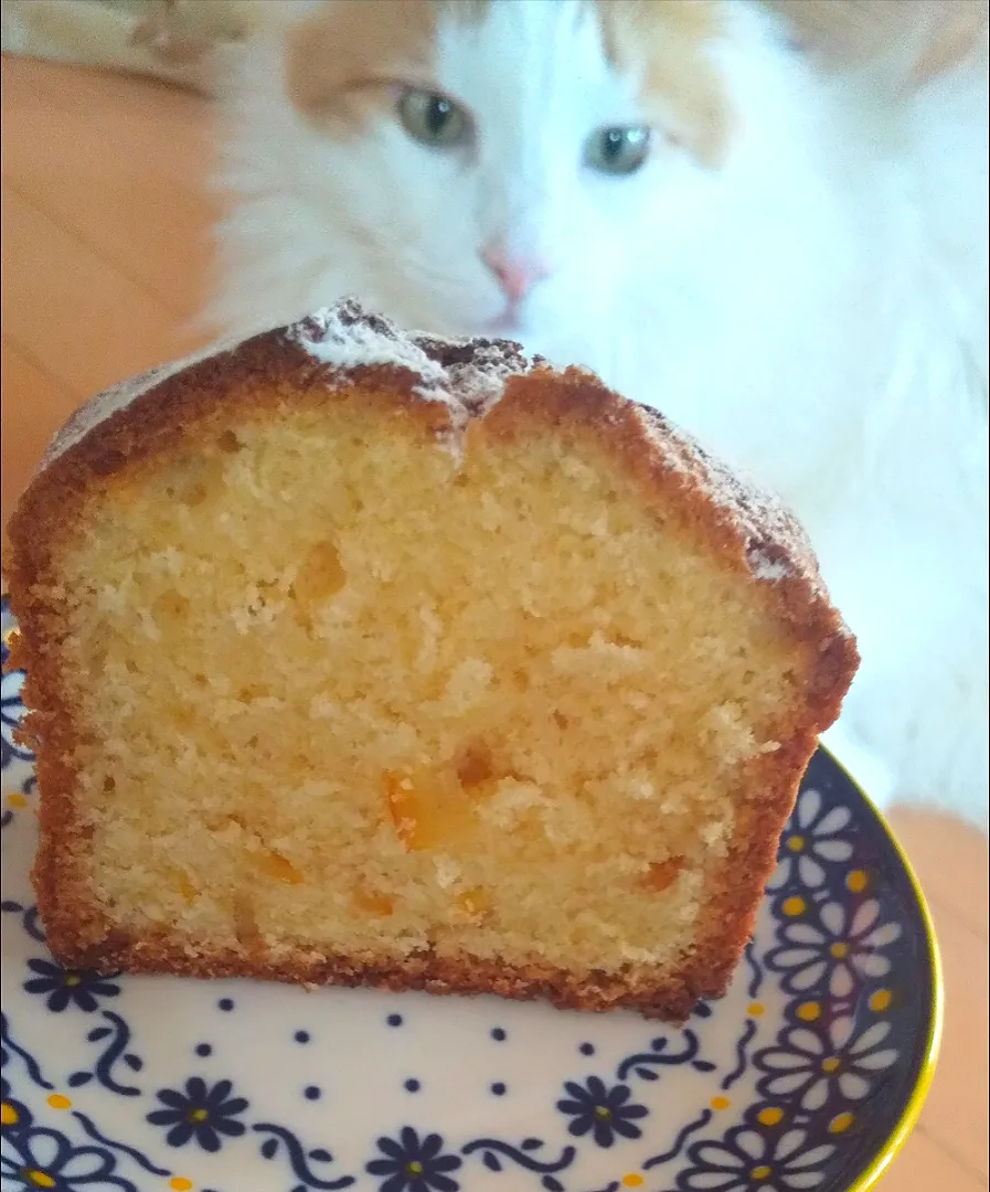 オレンジパウンドケーキ🍊
ちょっと焼きすぎました😸|さくらんぼさん