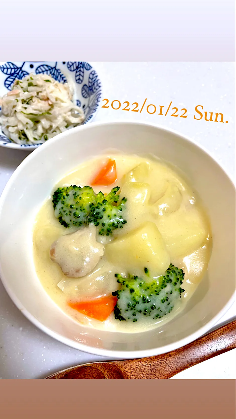 Snapdishの料理写真:クリームシチュー　今日の夕飯❁⃘*.ﾟ|＊.｡.＊ yükinaﾟ＊.｡.＊さん