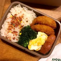 Snapdishの料理写真:今日の息子弁当|hatabowwyomeさん