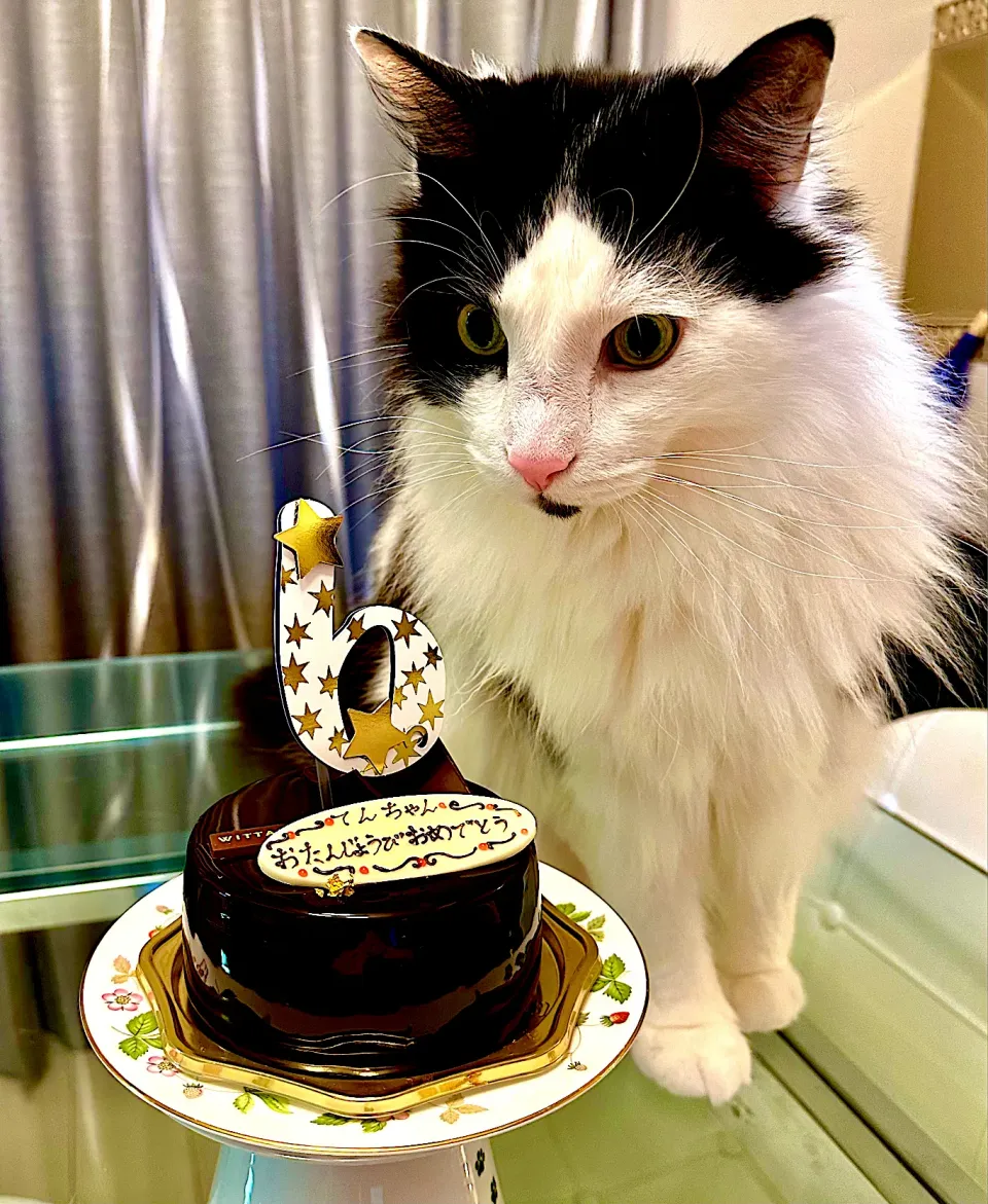 Snapdishの料理写真:誕生日ケーキ（人間用）|にゃあ（芸名）さん