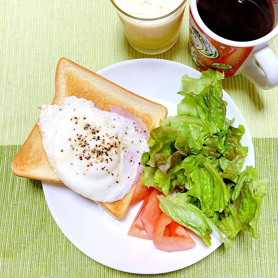 Snapdishの料理写真:目玉焼き🍳|akkoさん