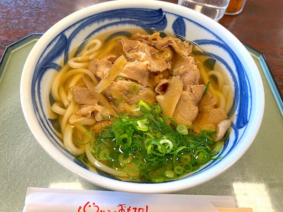 吹雪の中、サービスエリアにて肉うどん🛣|yokoさん