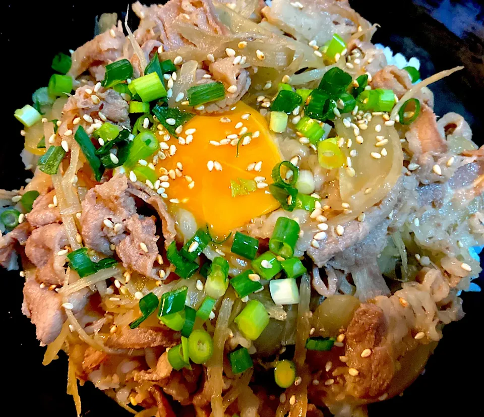 Snapdishの料理写真:牛丼ごぼう入り|satoruさん