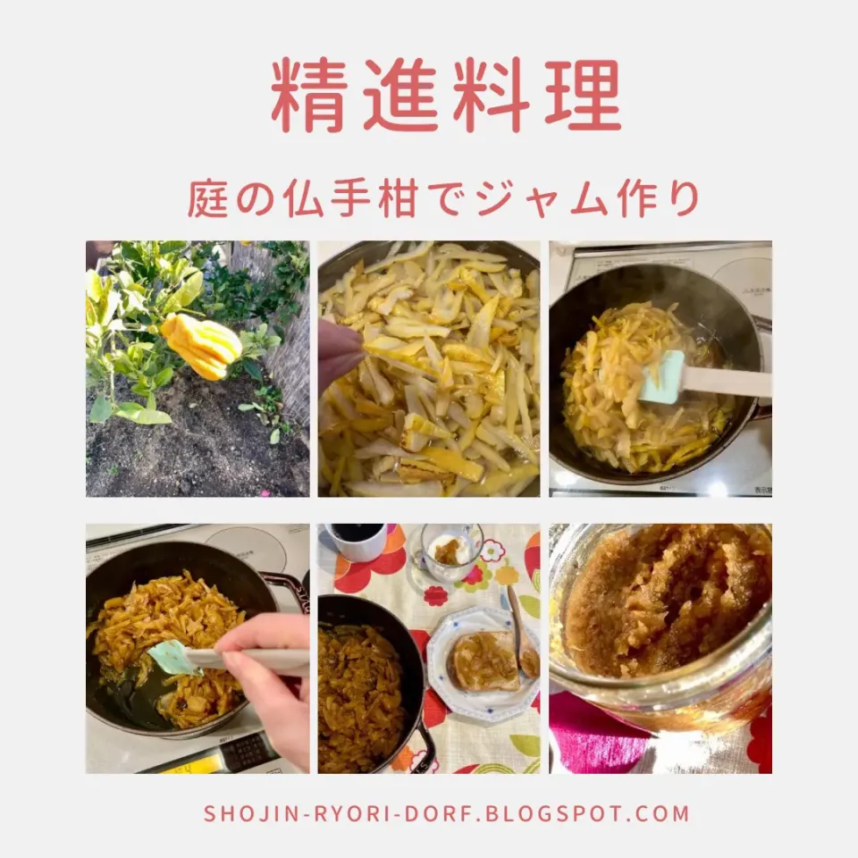 庭の仏手柑でジャムを作ります。|ドルフの美味しい家庭料理さん