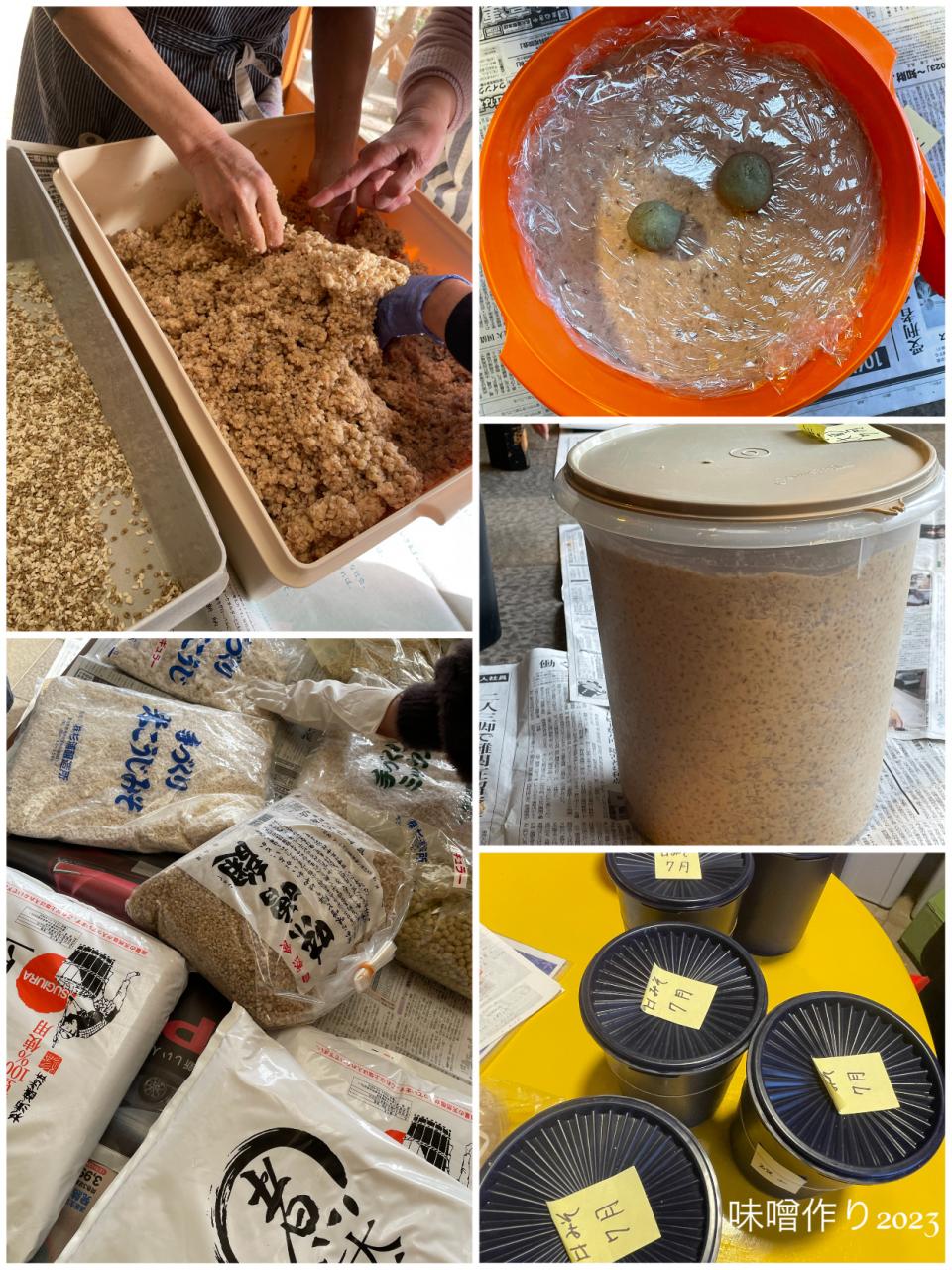 お味噌作り2023