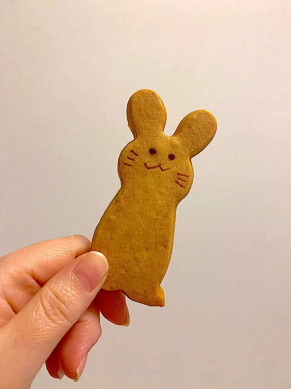 うさぎのクッキー🐇|みちゃんさん