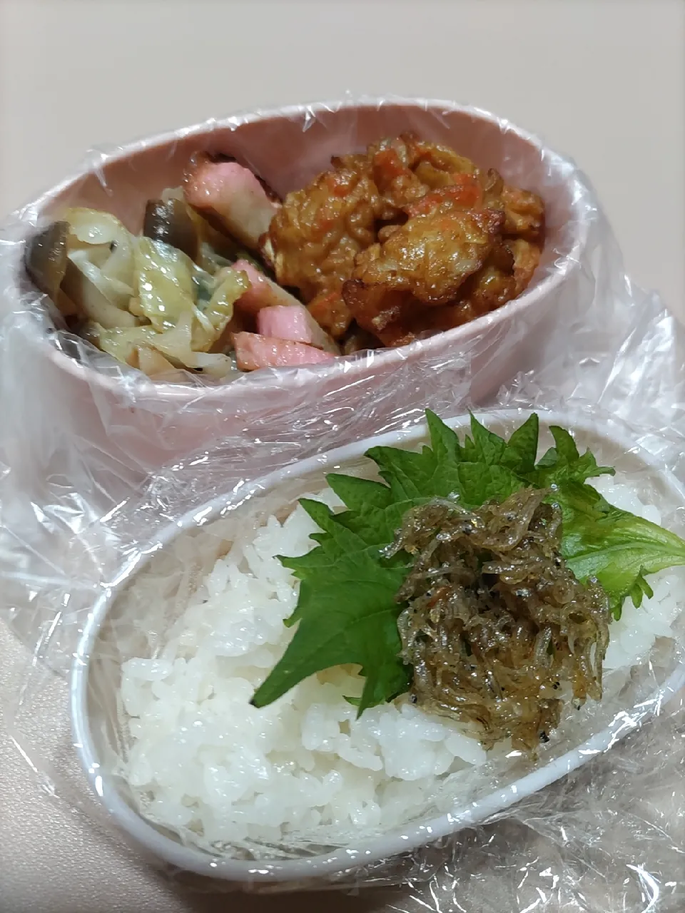 Snapdishの料理写真:1/27 派遣かーちゃん弁当|けろよんさん