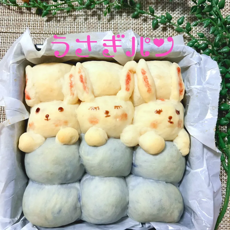 うさぎちぎりパン🐰|noeさん