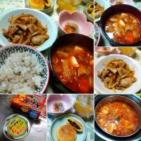 菱田屋風豚の生姜焼き、ツナキムチチゲ風スープ