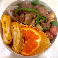 Snapdishの料理写真:焼き肉弁当😊|Tomokoさん