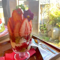 Snapdishの料理写真:太山寺いちごのパフェ|りゅうしさん