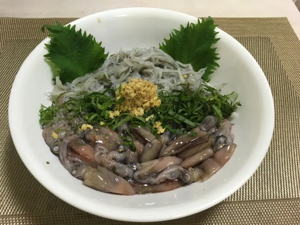 Snapdishの料理写真:生しらすと生ほたるいか丼|ももさん