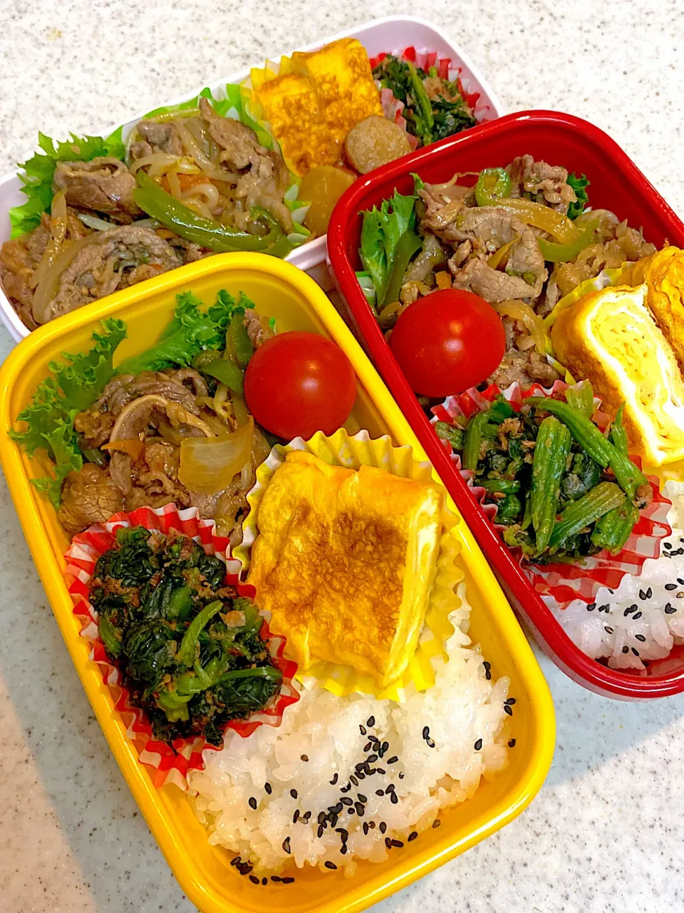 今日のお弁当|asumamaさん