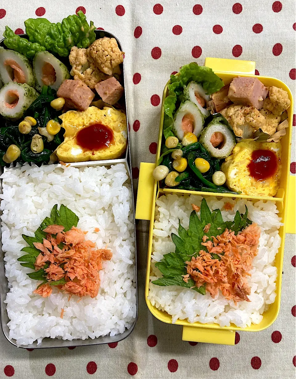 2月1日 月の始まり弁当🍱|sakuramochiさん