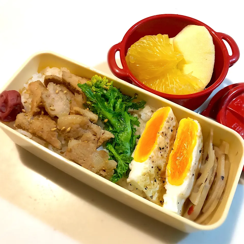 サラ弁　〜少食弁当　　　　　　　　　　　　豚ロース甘辛炒め　目玉焼き　キンピラごぼう|じゅんさんさん