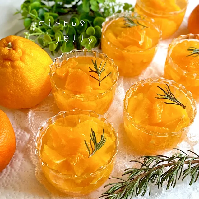Snapdishの料理・レシピ写真:いろんな柑橘ゼリー🍊｜柑橘スイーツで至福のおやつタイム♡