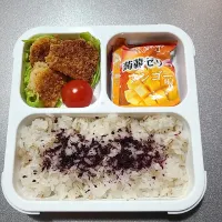 Snapdishの料理写真:今日のお弁当　大学生娘ちゃん(^-^)|sakuhimaさん