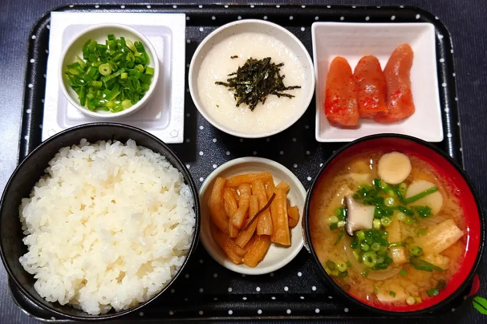 今日の朝ごはん（辛子明太子（あごおとし）、とろろ、納豆、玉ねぎとエリンギのみそ汁、割干大根漬）|Mars＠釜飯作り研究中さん