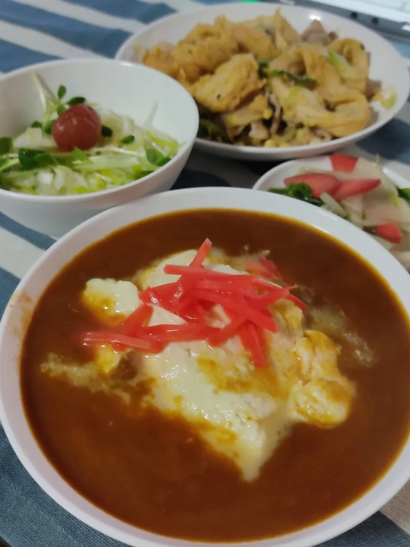 ゆし豆腐カレーの罪悪感|Rピージャーさん