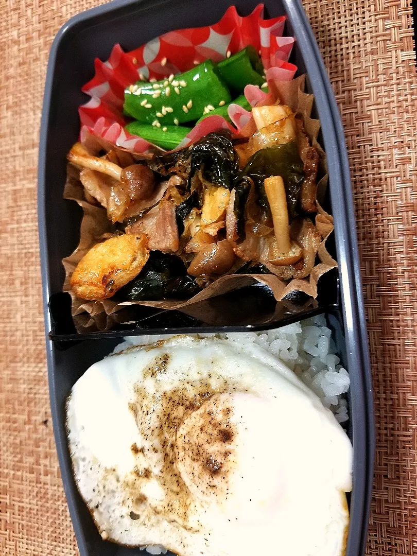 ワカメ、豚肉、しめじのおかか炒め
弁当
スナップえんどうの塩煮
目玉焼き|shinさん