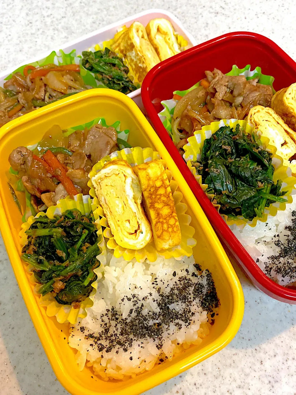 今日のお弁当|asumamaさん