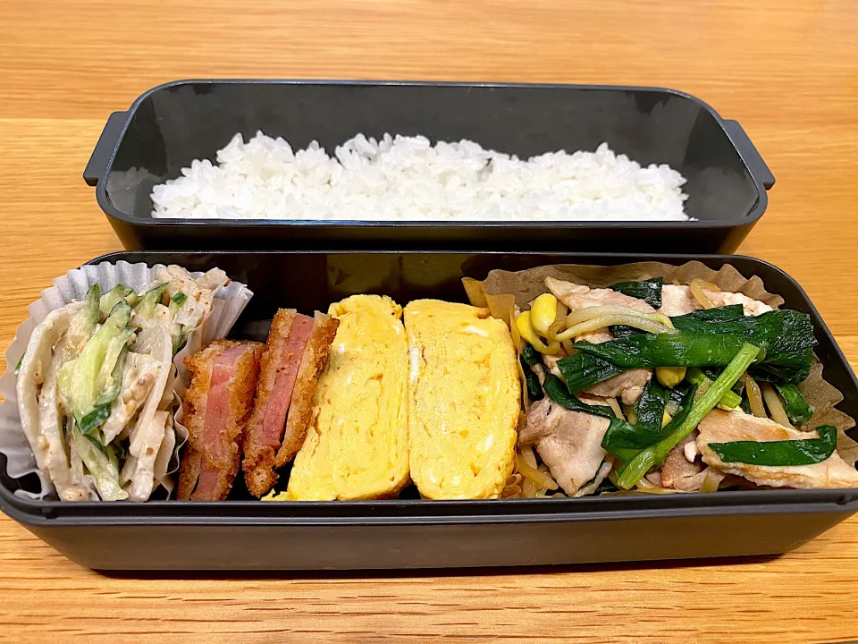 2月8日息子のお弁当|かおりさん