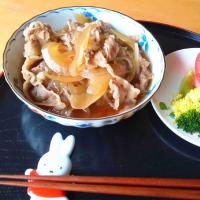 牛丼？牛皿？お好きにどうぞ。